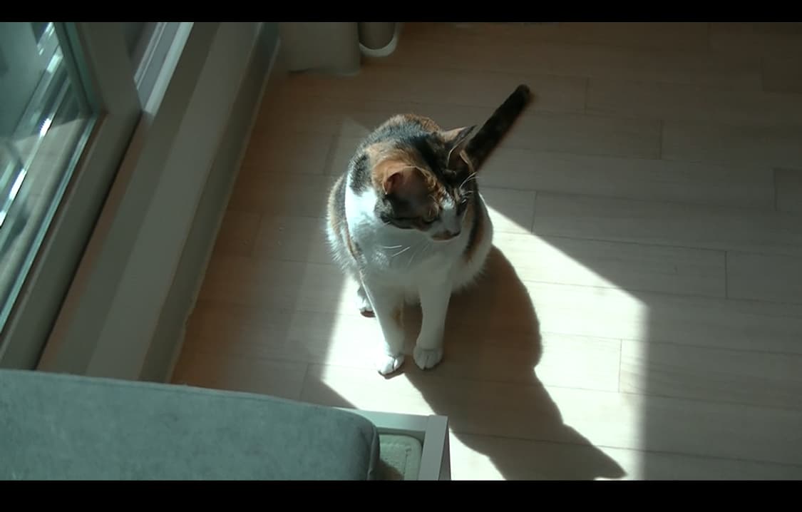 [S급 새거] 카리나캠코더 빈티지 캠코더 디카 JVC GZ-E170-B  상품이미지8