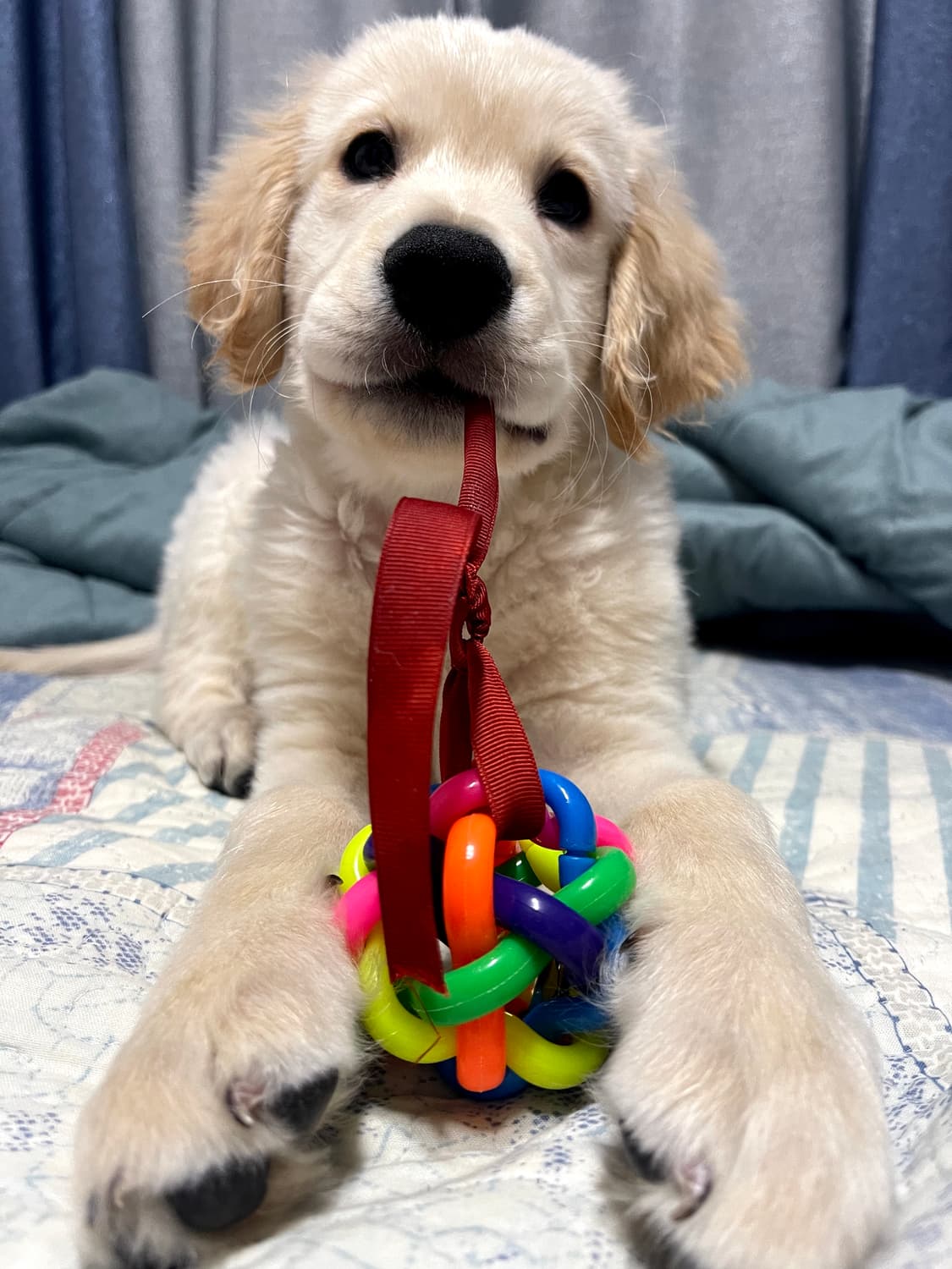 해병 스키파카 세트 상품이미지1