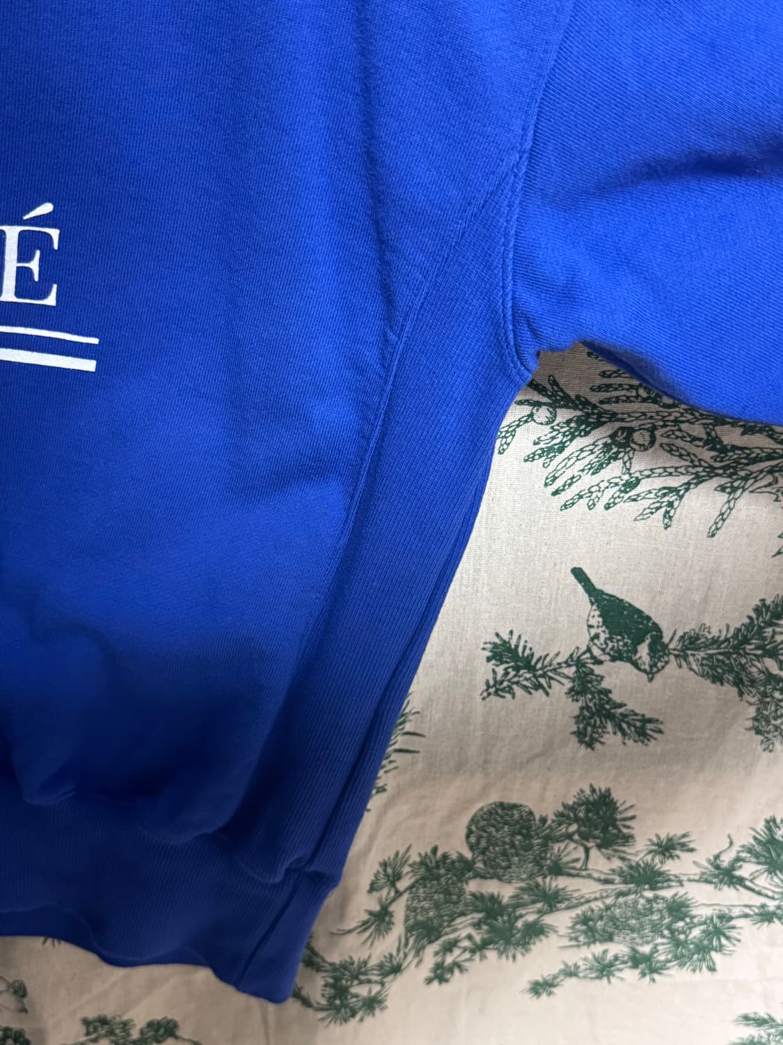 파랑 맨투맨  상품이미지2