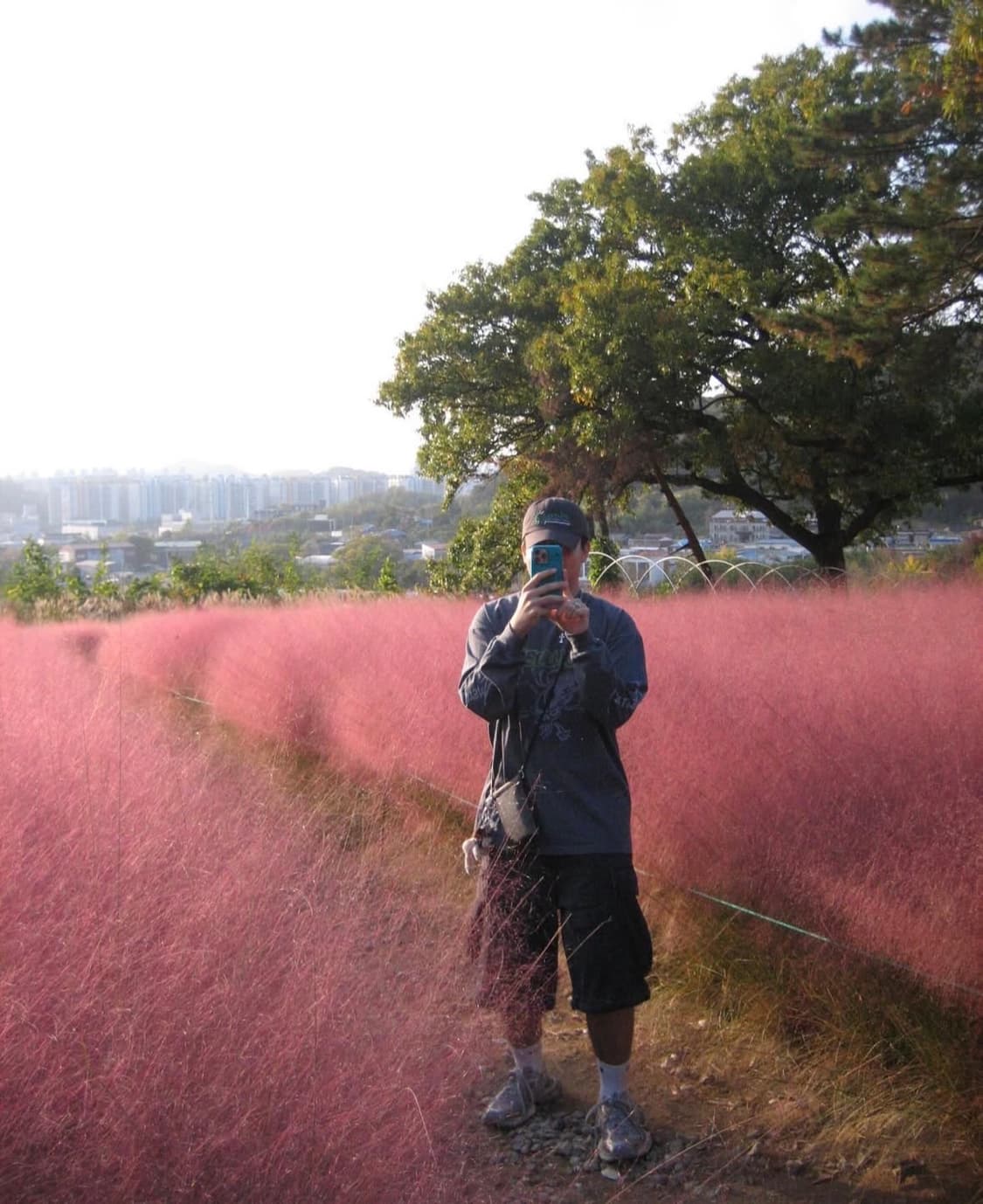 캐논 익서스 55 (파워샷 sd450) 디지털카메라 상품이미지9