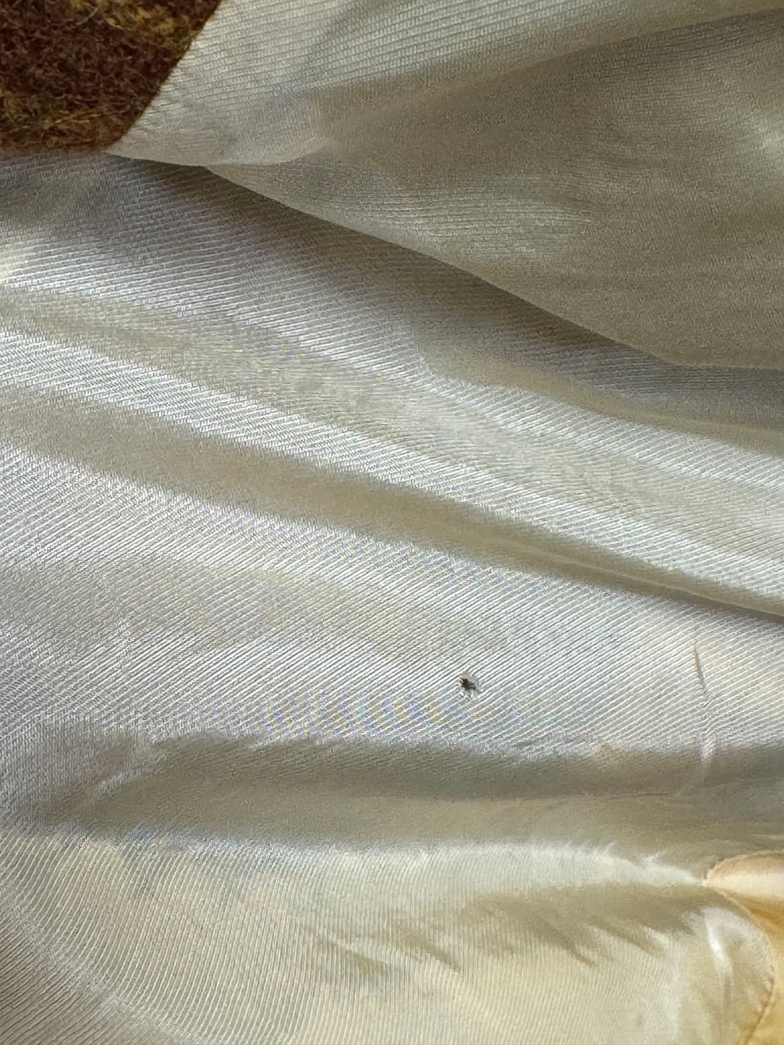 체크 카라 코트 상품이미지5