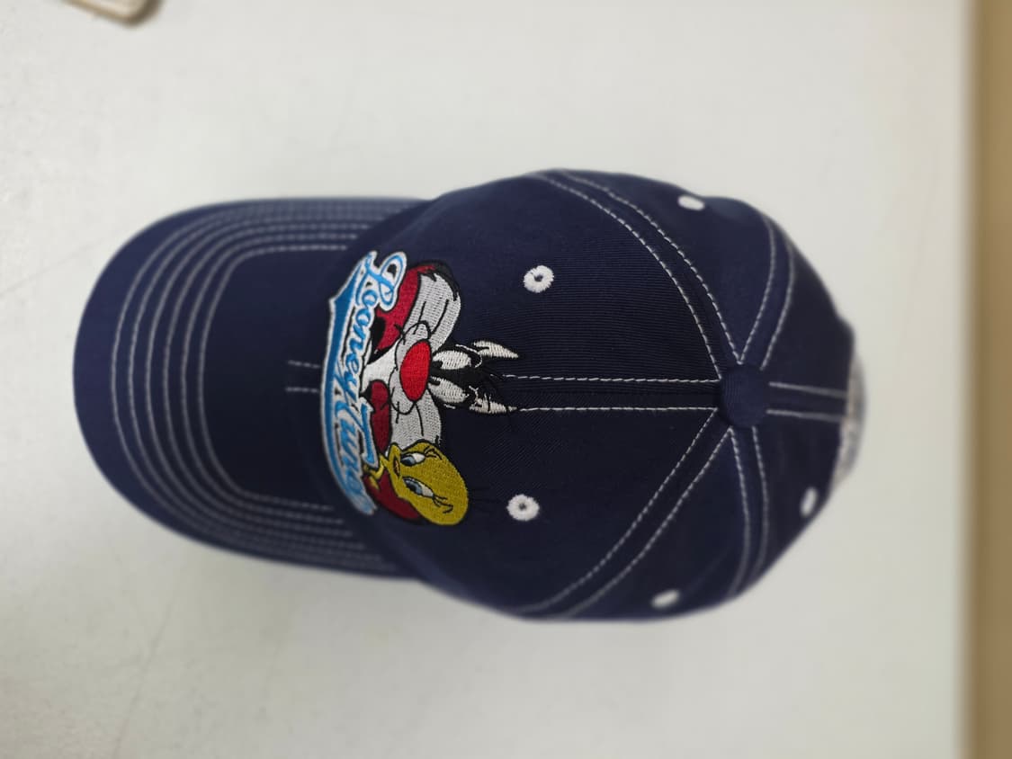 루니툰 트위티,실베스터 x 마하그리드볼캡
미사용품 
 상품이미지7