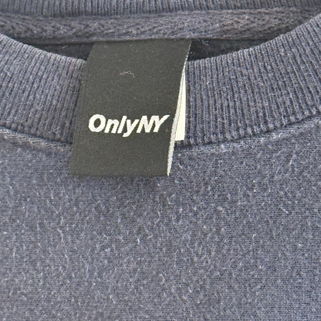 only NY X 챔피온 crew RW Crewneck m 상품이미지2