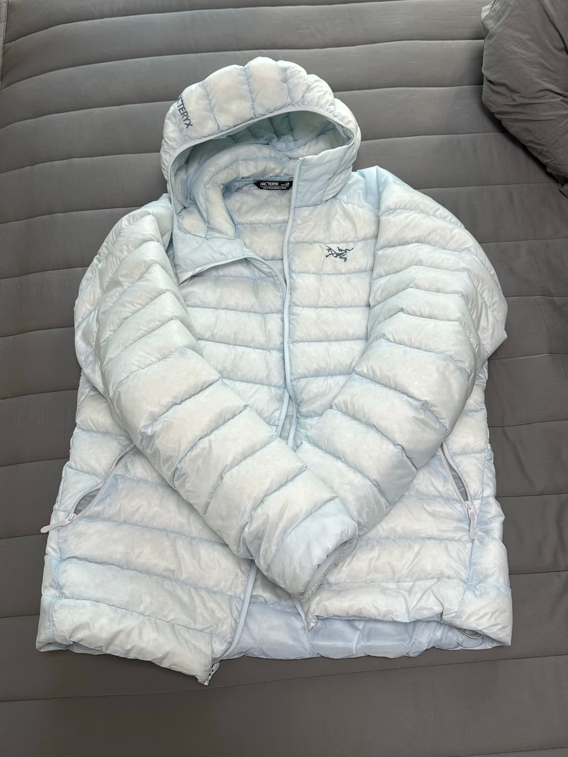 아크테릭스 세륨 데이브레이크 상품이미지1