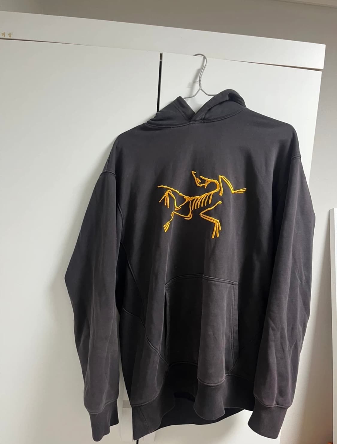 아크테릭스 x 팔라스  상품이미지2