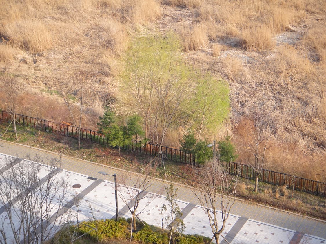 소니 사이버샷 dsc-tx5 상품이미지6