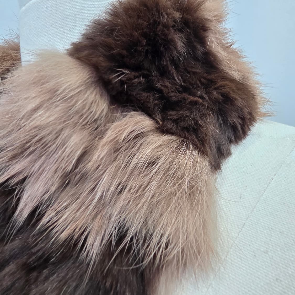 브라운 투톤 배색 렉스 폭스 퍼 머플러 상품이미지5