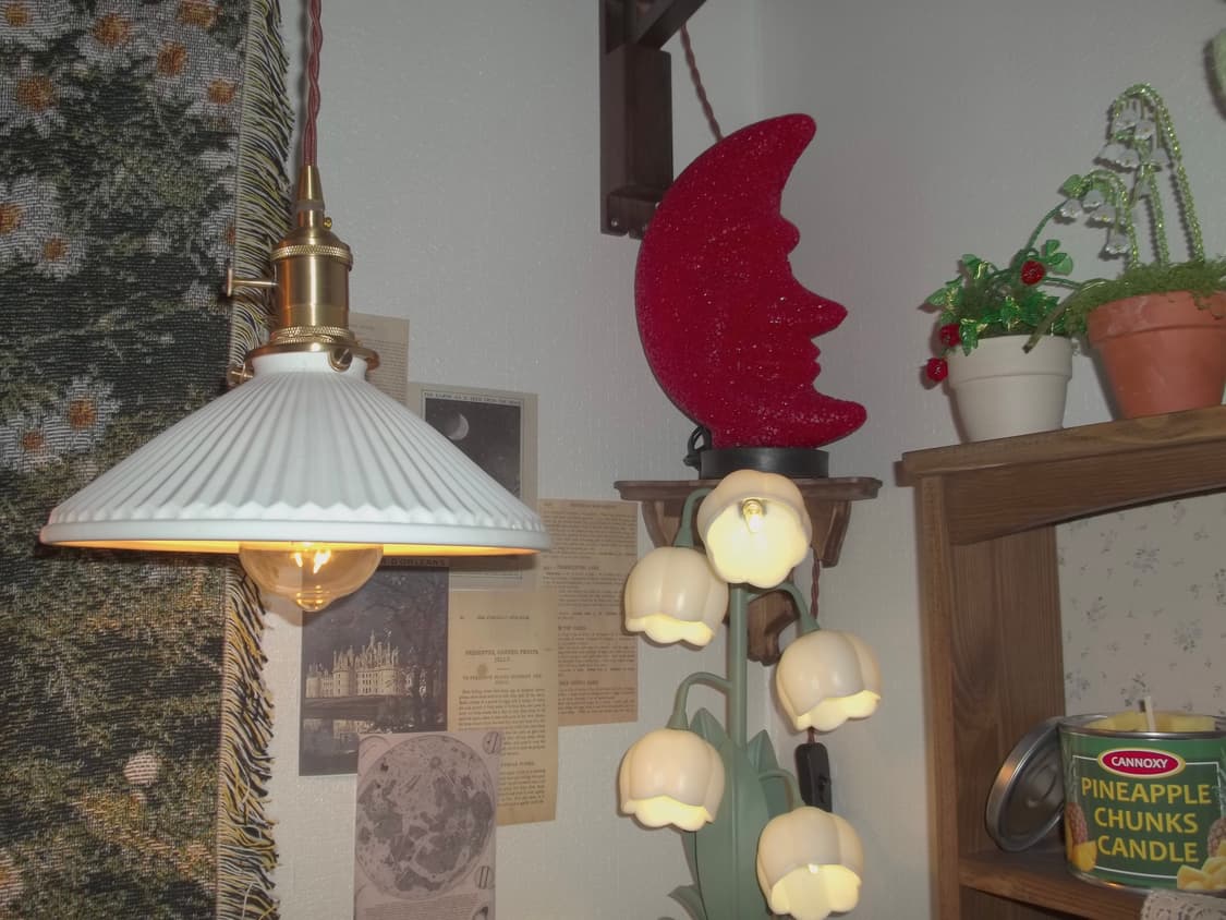 (한글판)코닥 이지쉐어 c195 Kodak EasyShare C195 상품이미지9