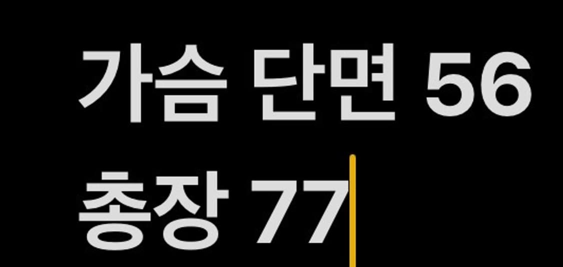 [정품/XL] 롯데 자이언츠 동백 야구 유니폼 레드 b15 상품이미지6