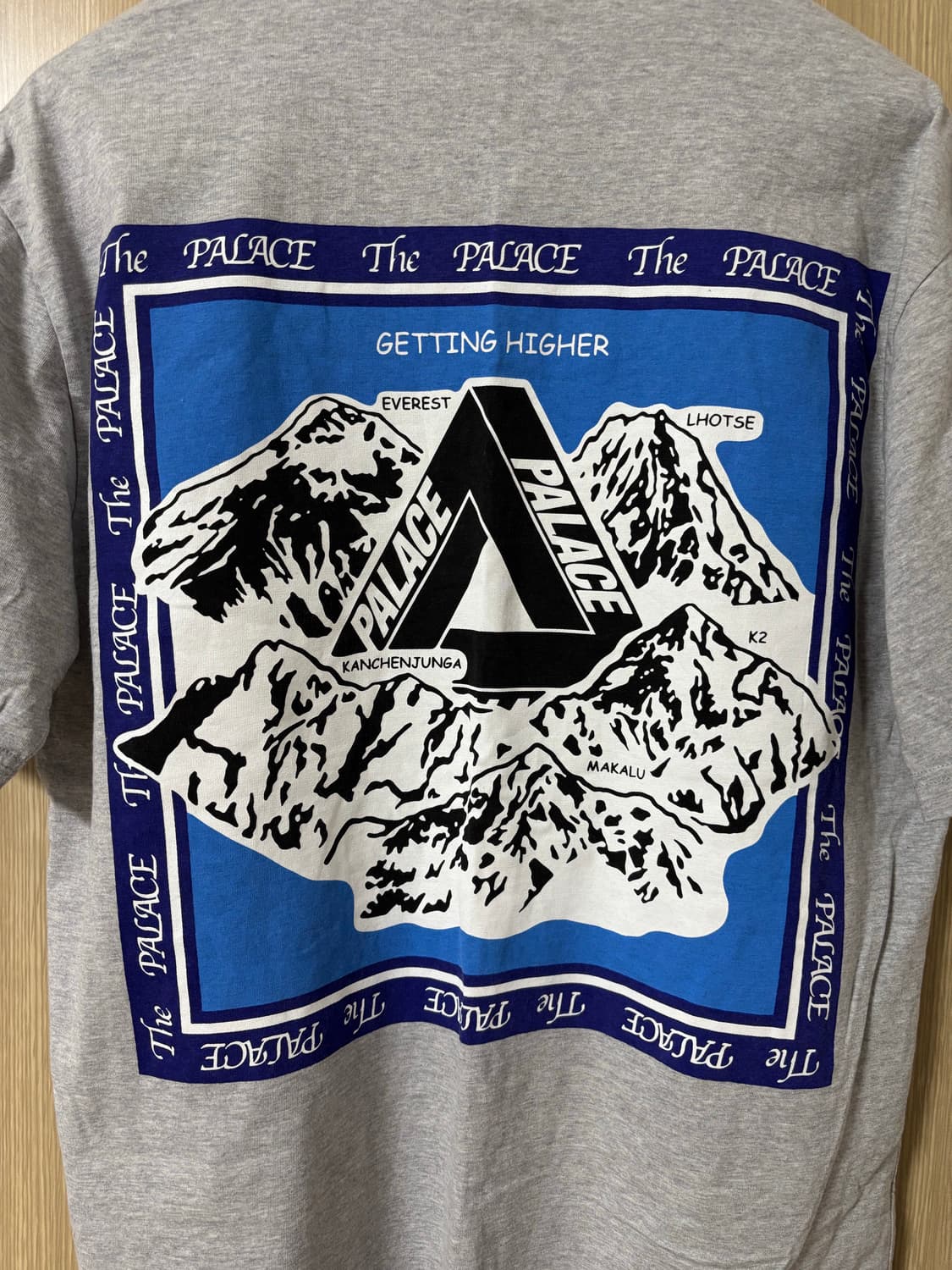 팔라스 게팅 하이어 티셔츠 상품이미지2