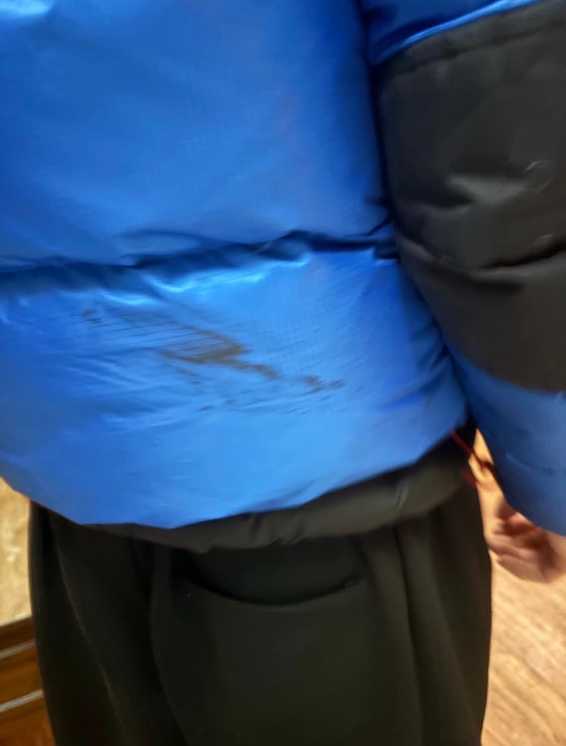 The North Face 서밋 시리즈 700 다운 자켓 상품이미지4