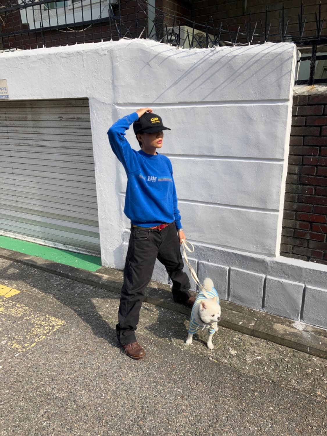 DICKIES carpenter (34X32) 상품이미지6