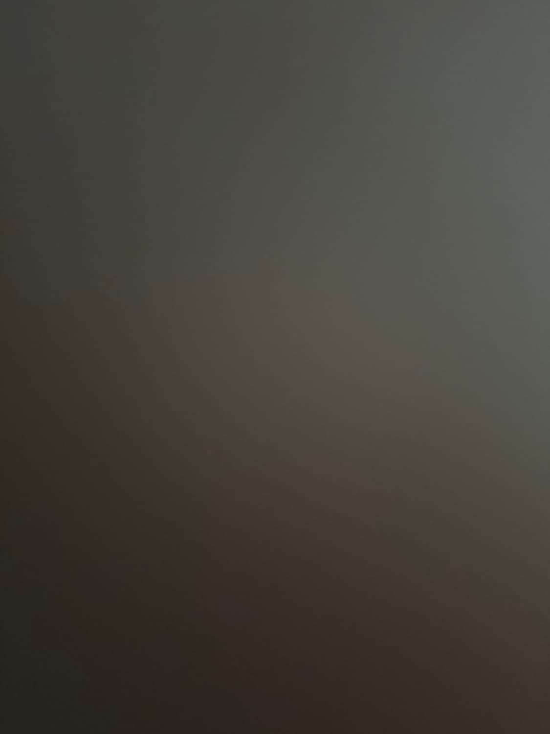 아디다스 복싱화 상품이미지1