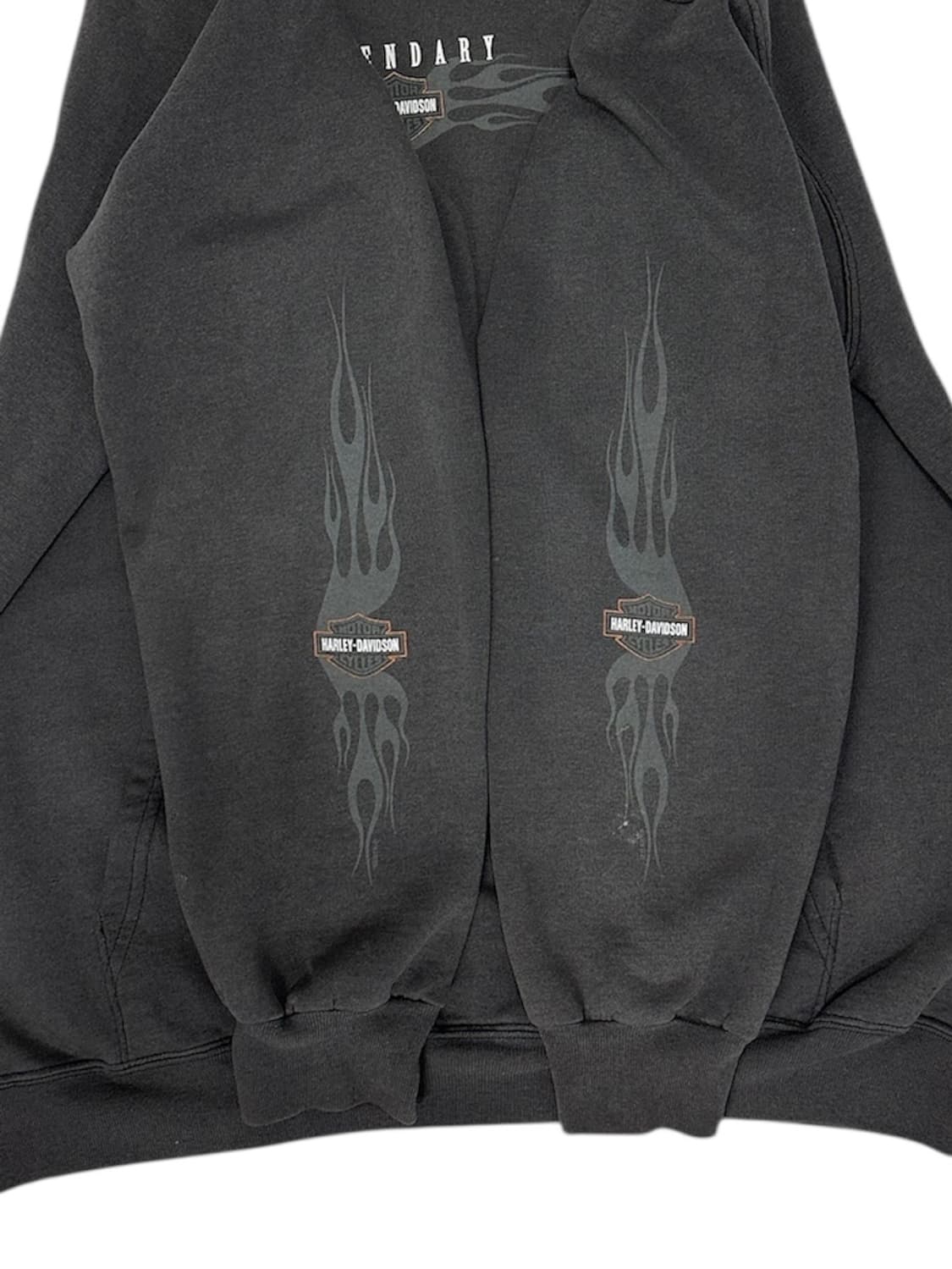 Harley-Davidson 플레임 로고 후드 (90s) 상품이미지4