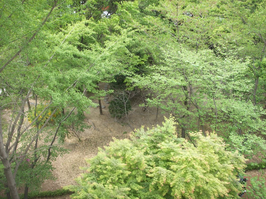 코니카 미놀타 디미지x1 빈티지 디지털 카메라 상품이미지5