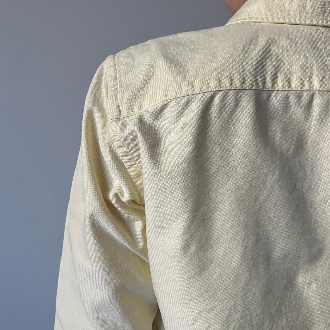 POLO RALPH LAUREN " Collie Dog " shirt 상품이미지10