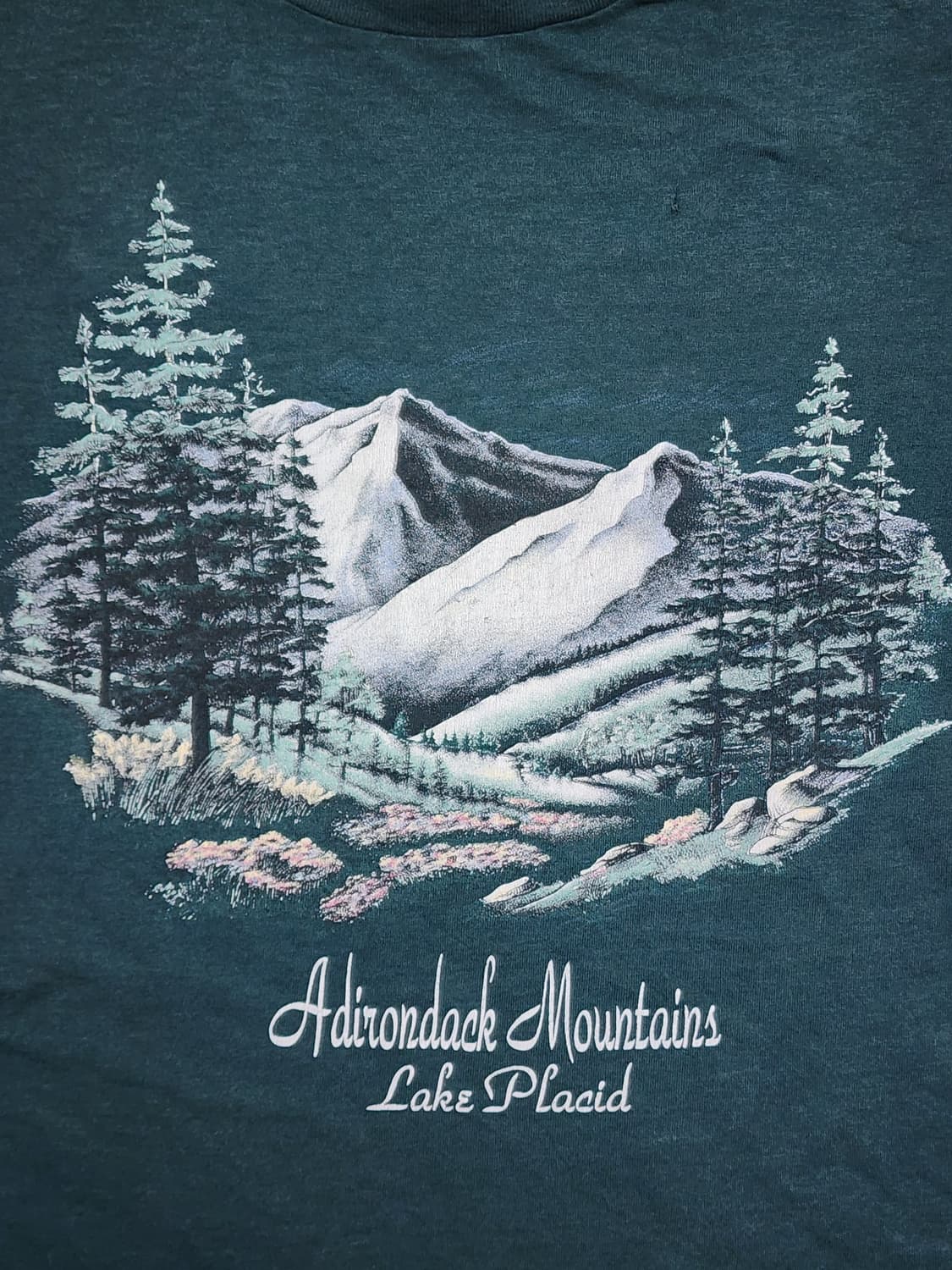 90s USA Adirondack Mountains 티셔츠107 상품이미지4