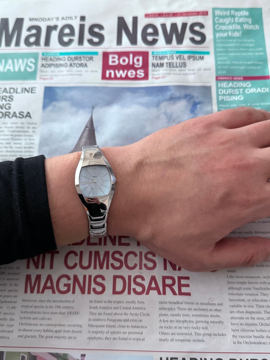 세이코 Seiko 쉘 실버 사파이어 상품이미지5