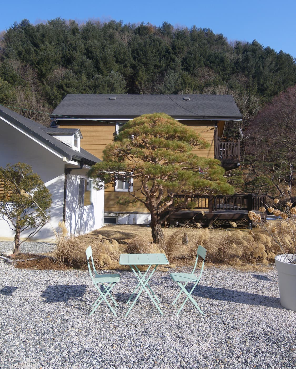 입문자추천/한국어지원✨Pentax Optio P70 펜탁스 디카 카메라 상품이미지9