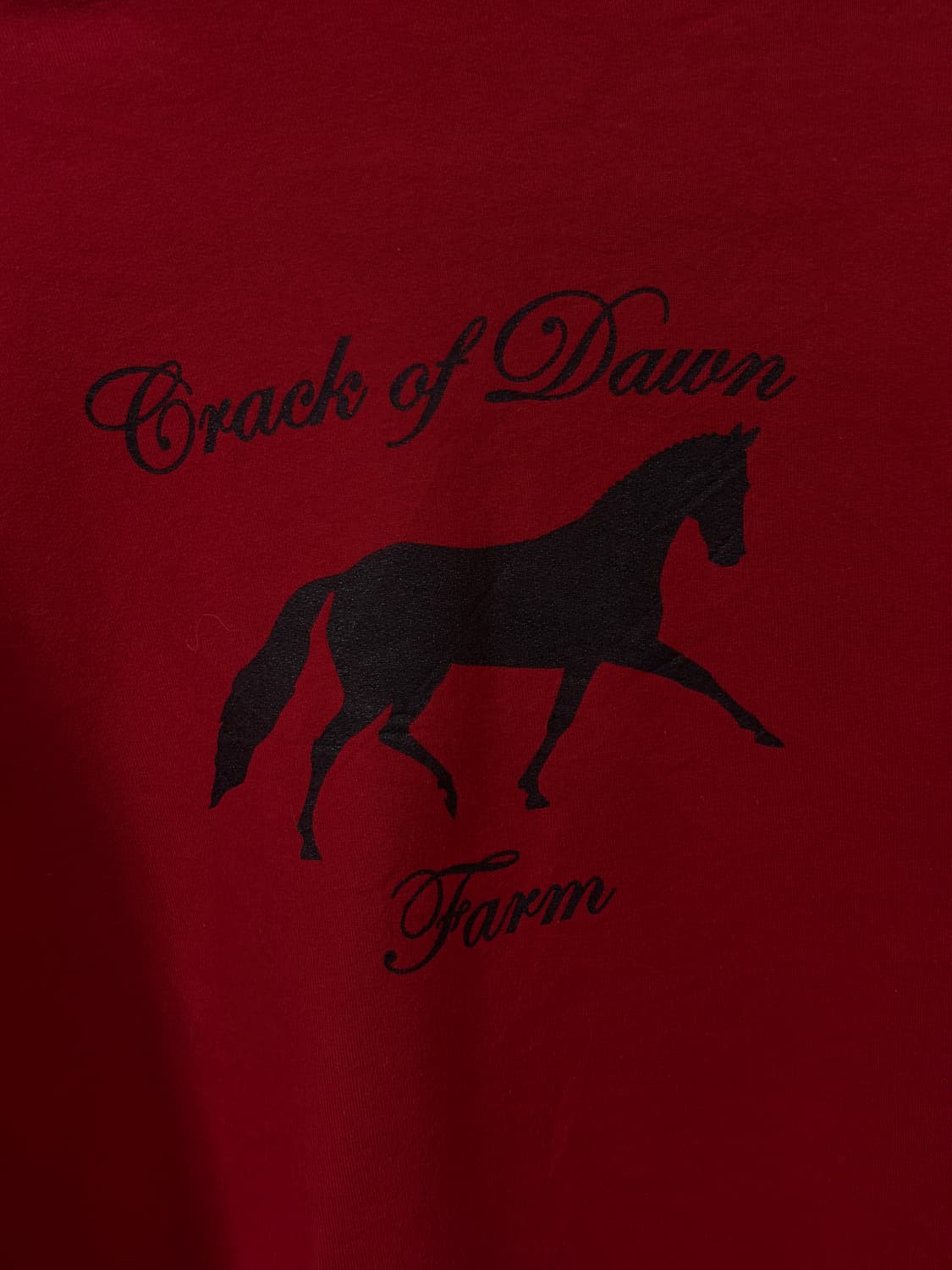 C9 champion 붉은 말 스웻셔츠 상품이미지5