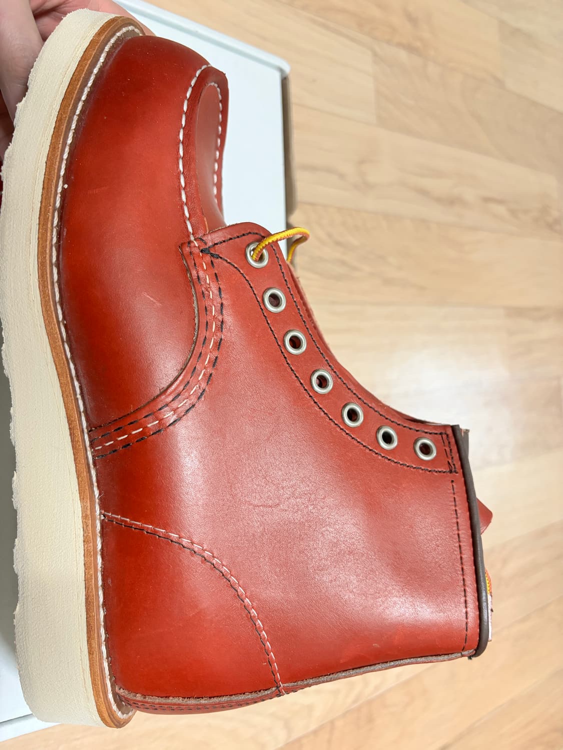 레드윙 목토8875 6E(240) 세컨드팩토리 팝니다 상품이미지8