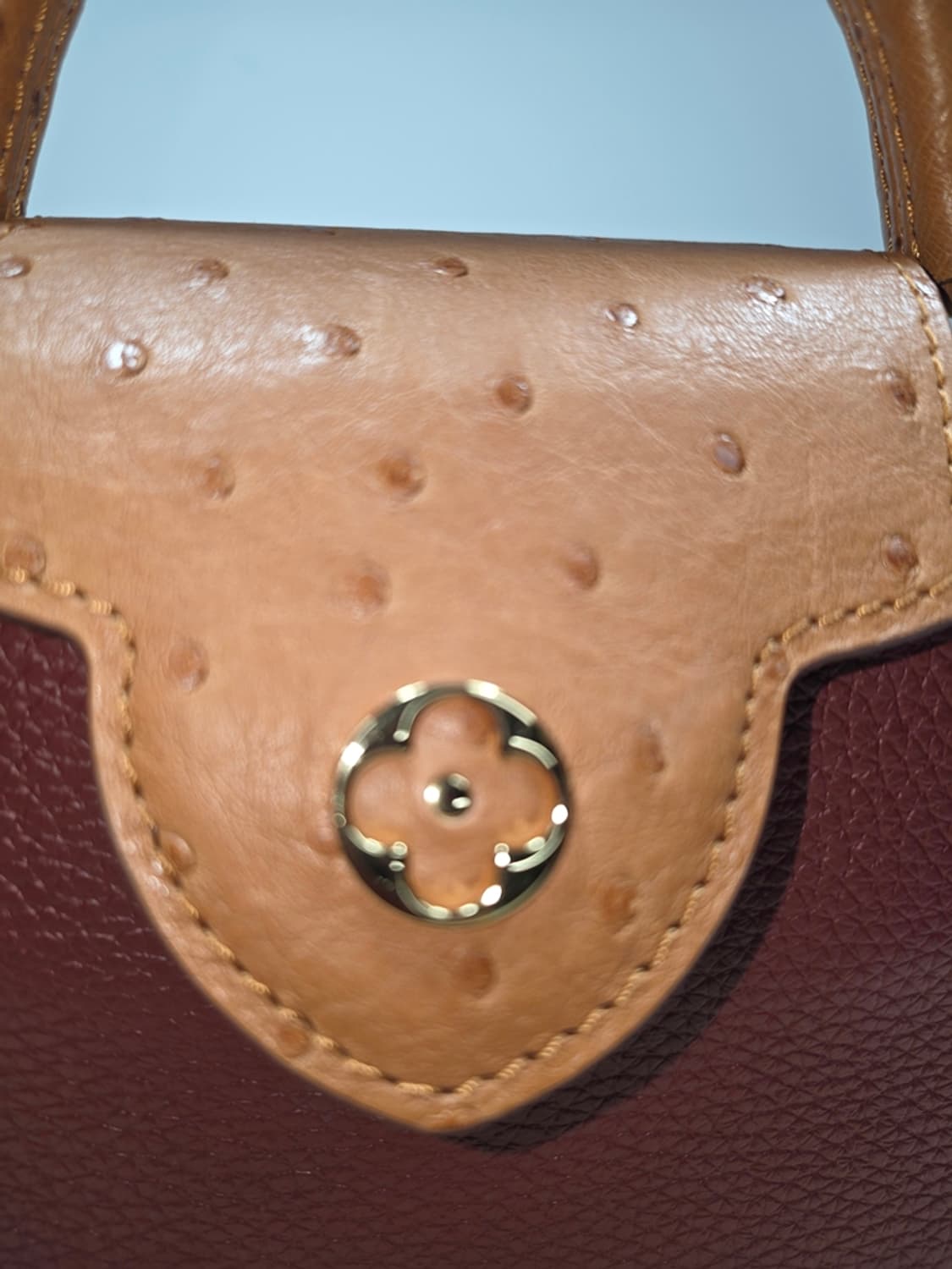 루이비통 카퓌신 미니 오스트리치 N81409 상품이미지3