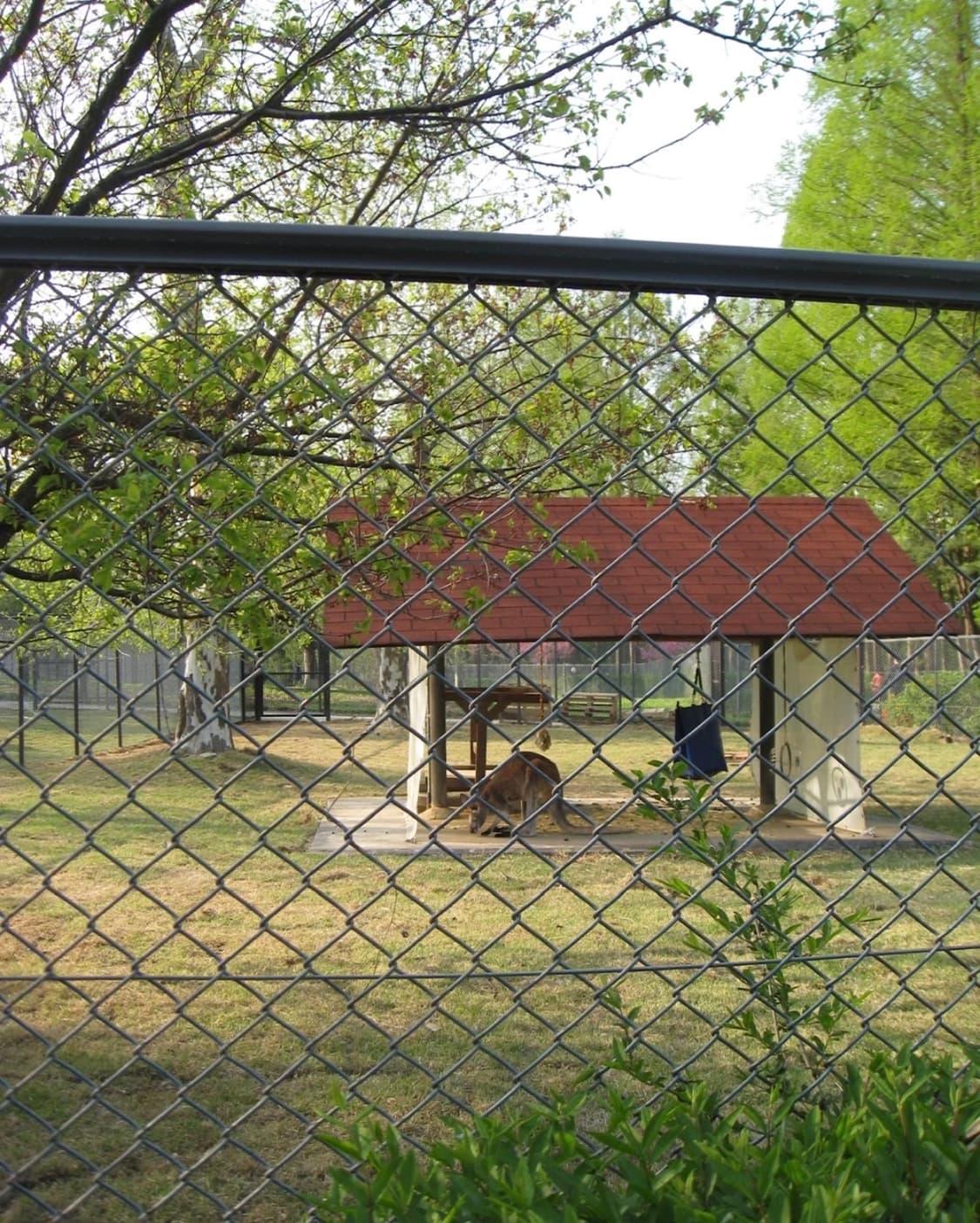 캐논 IXUS 950 IS  상품이미지5