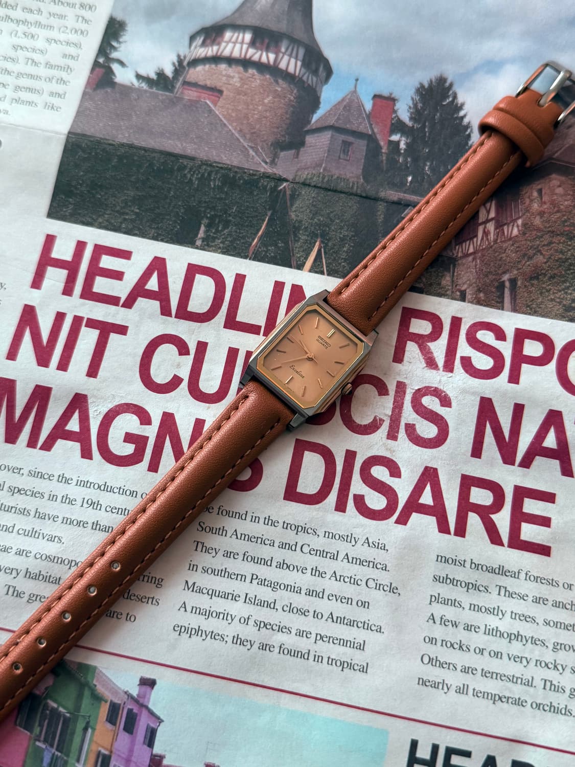 세이코 Seiko 쿼츠 스퀘어 브라운 레이디스 상품이미지2