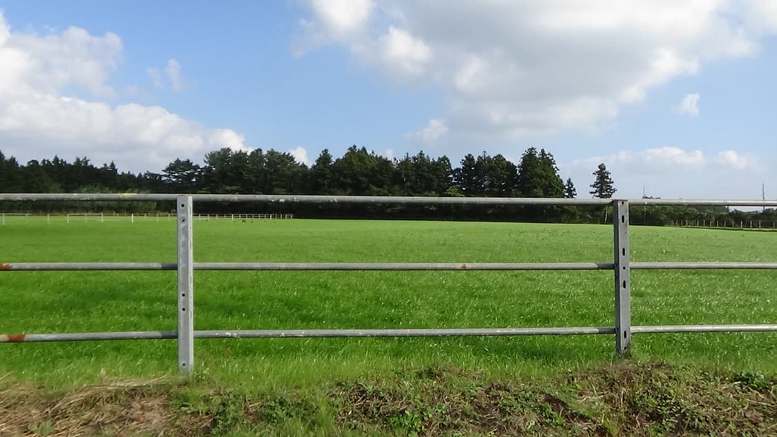 *fkjiaa님 개인결제창 (미니도트) 💙* 상품이미지1