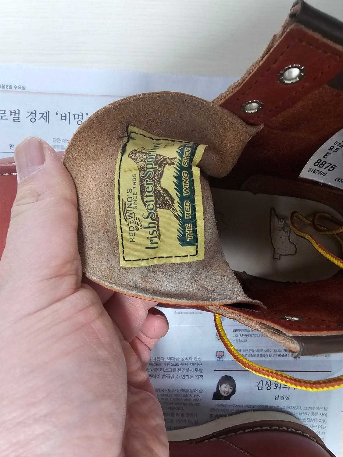 레드윙8875 오로러셋 9.5E 상품이미지9
