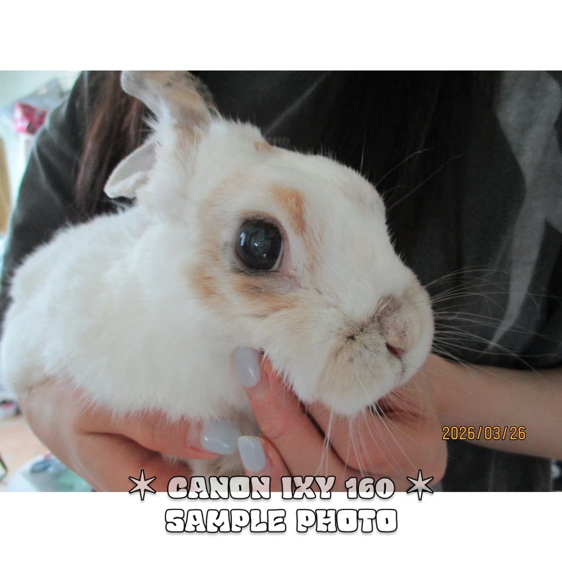 캐논 익시 IXY 160 (익서스 165) 빈티지 디카 차콜 상품이미지7