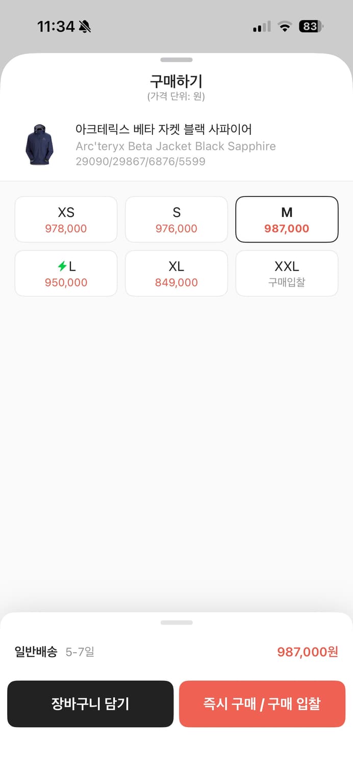 아크테릭스 베타 블랙사파이어 상품이미지2