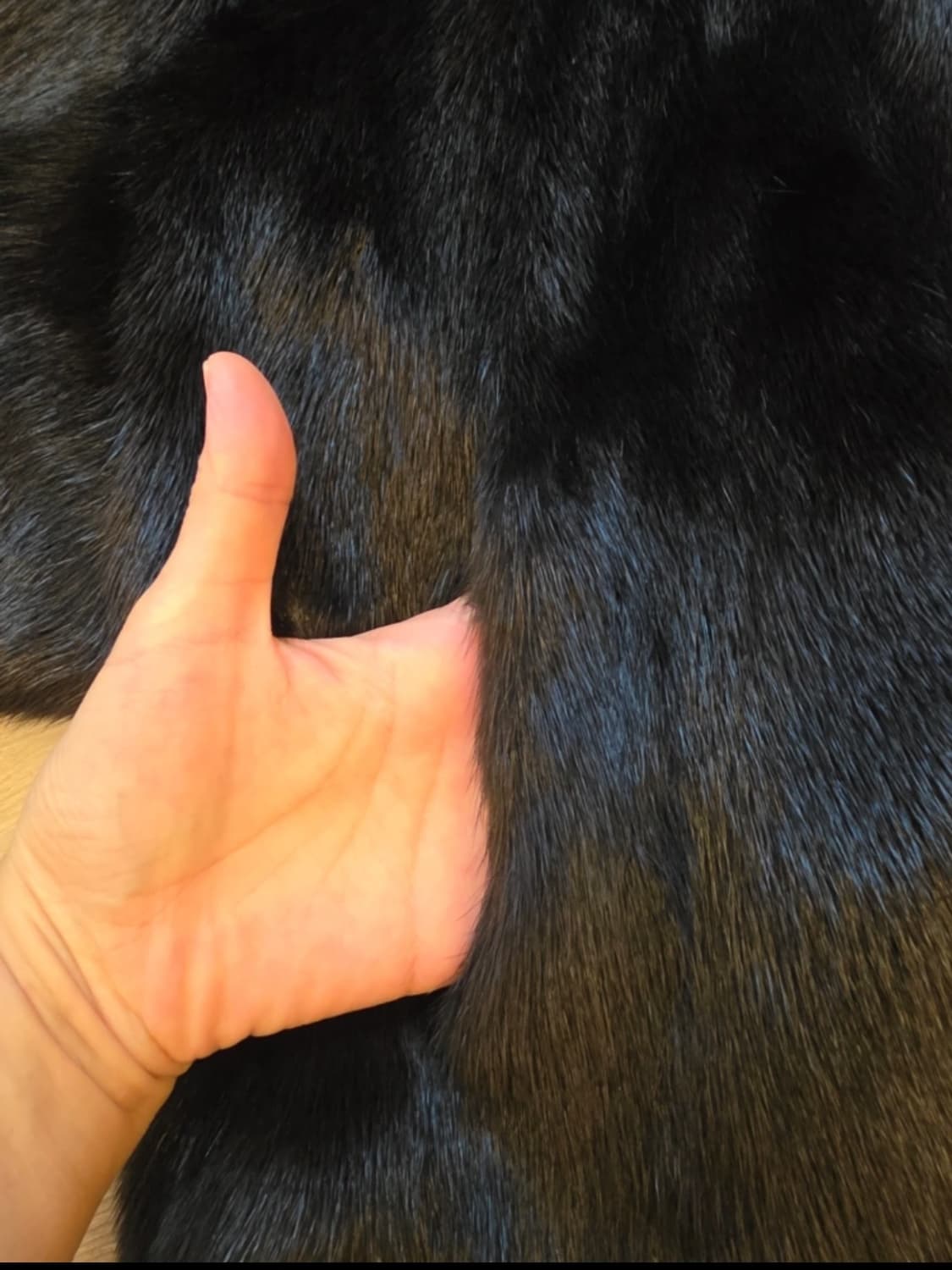 크롭 밍크 코트 F사이즈 상품이미지5