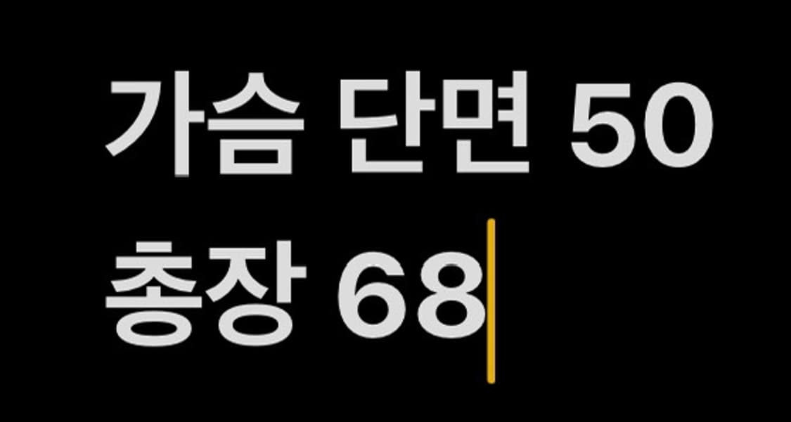 [ 정품/L ] 언더아머 마이크로스레드 배니시 조끼 b14 상품이미지7