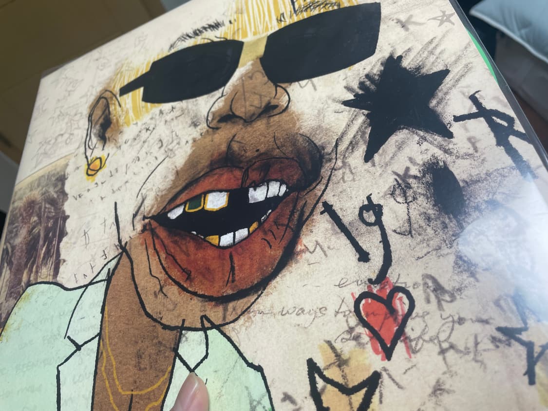 타일러 더 크리에이터 igor 한정반 크로마코피아 cd lp 상품이미지7