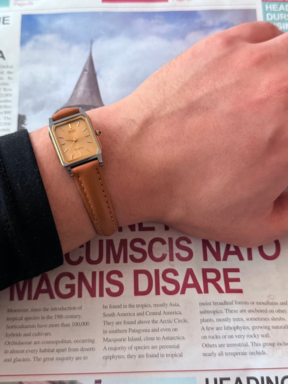 세이코 Seiko 쿼츠 스퀘어 브라운 레이디스 상품이미지4