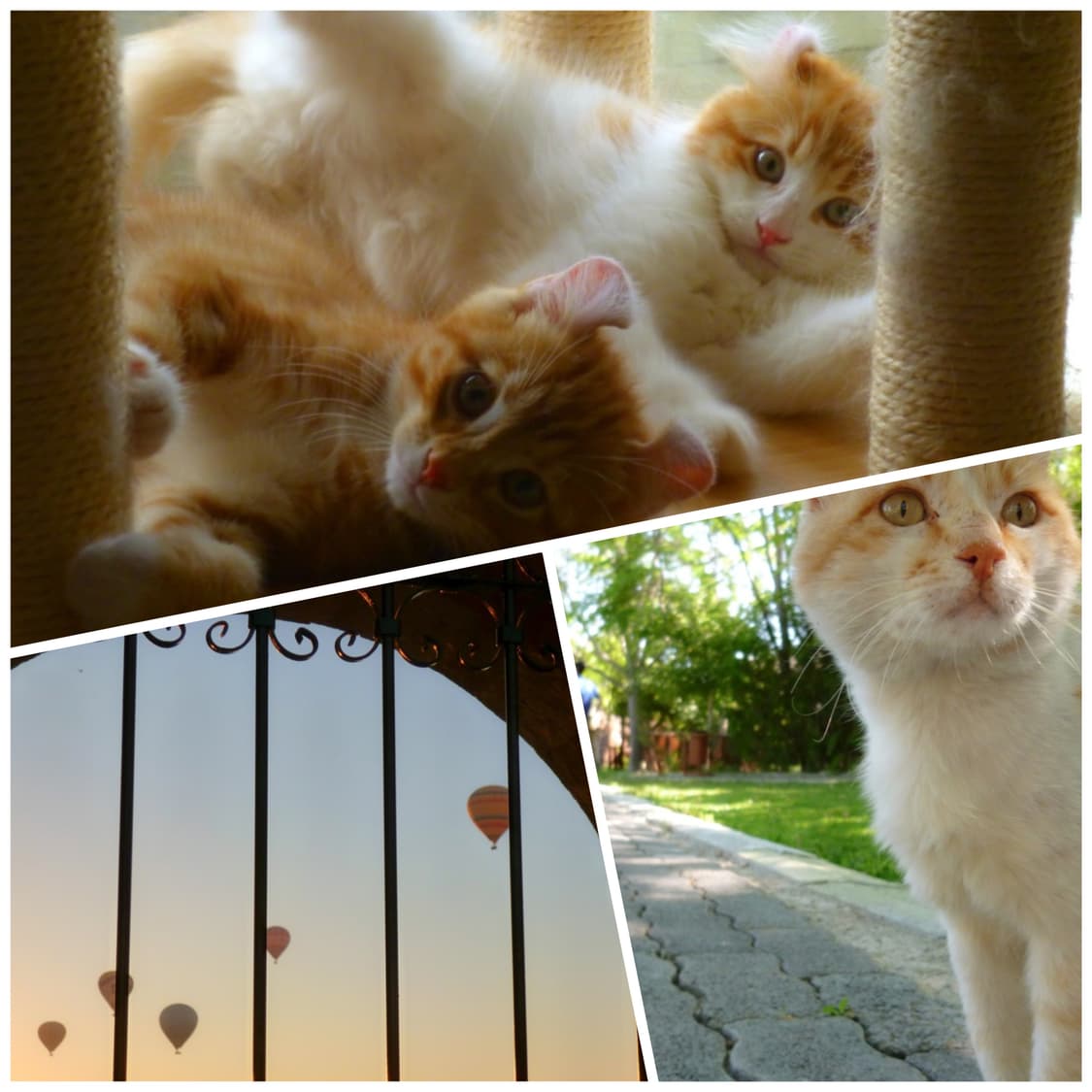 파나소닉 루믹스 DMC-FX77 스웨이드 블루(빈티지디카) 작례포함 상품이미지3