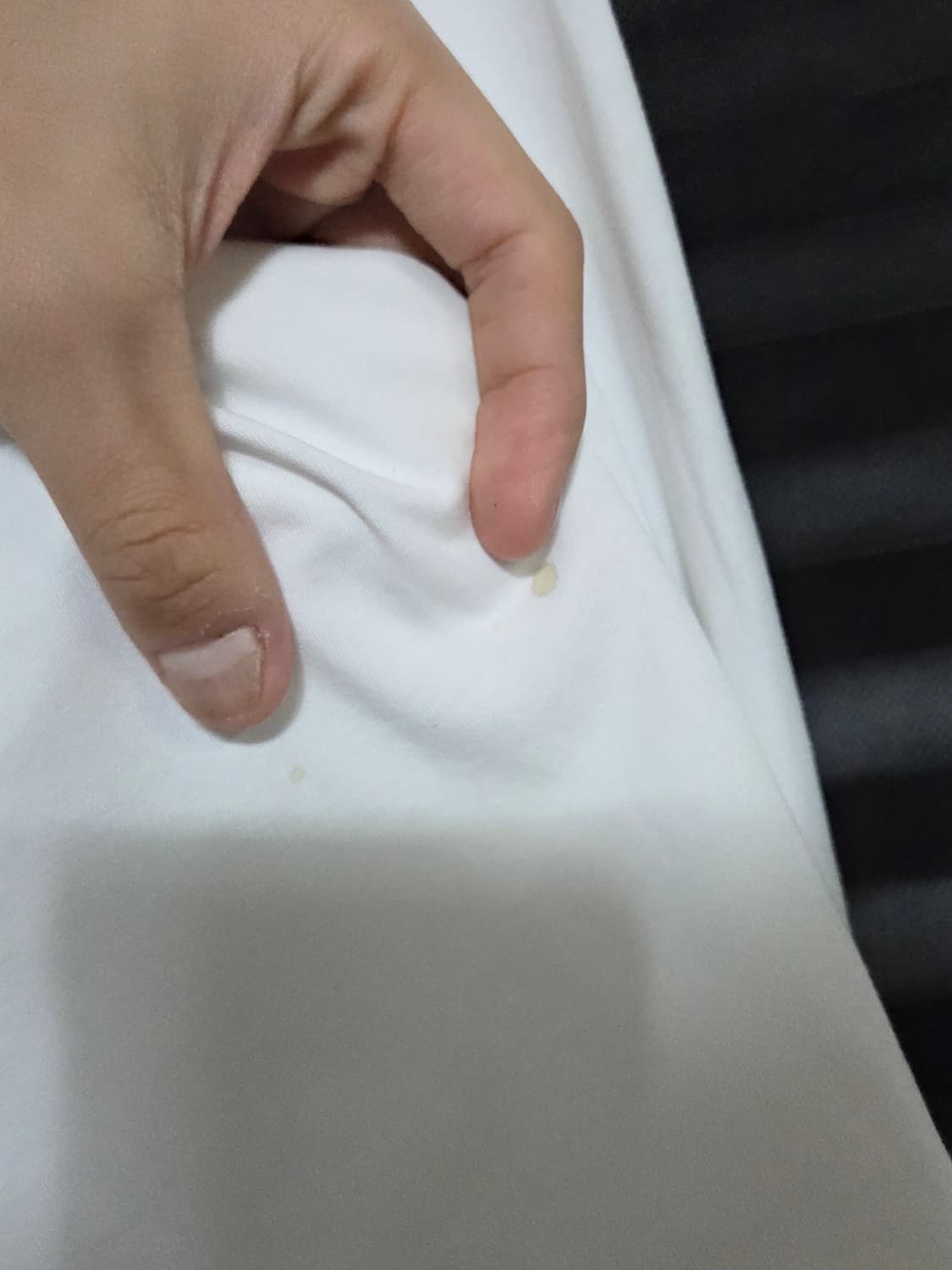 [코스] 클래식 코튼 포플린 셔츠 | 00152 상품이미지7