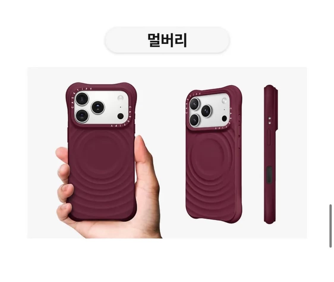 케이스티파이 17프로맥스 멀버리 상품이미지2