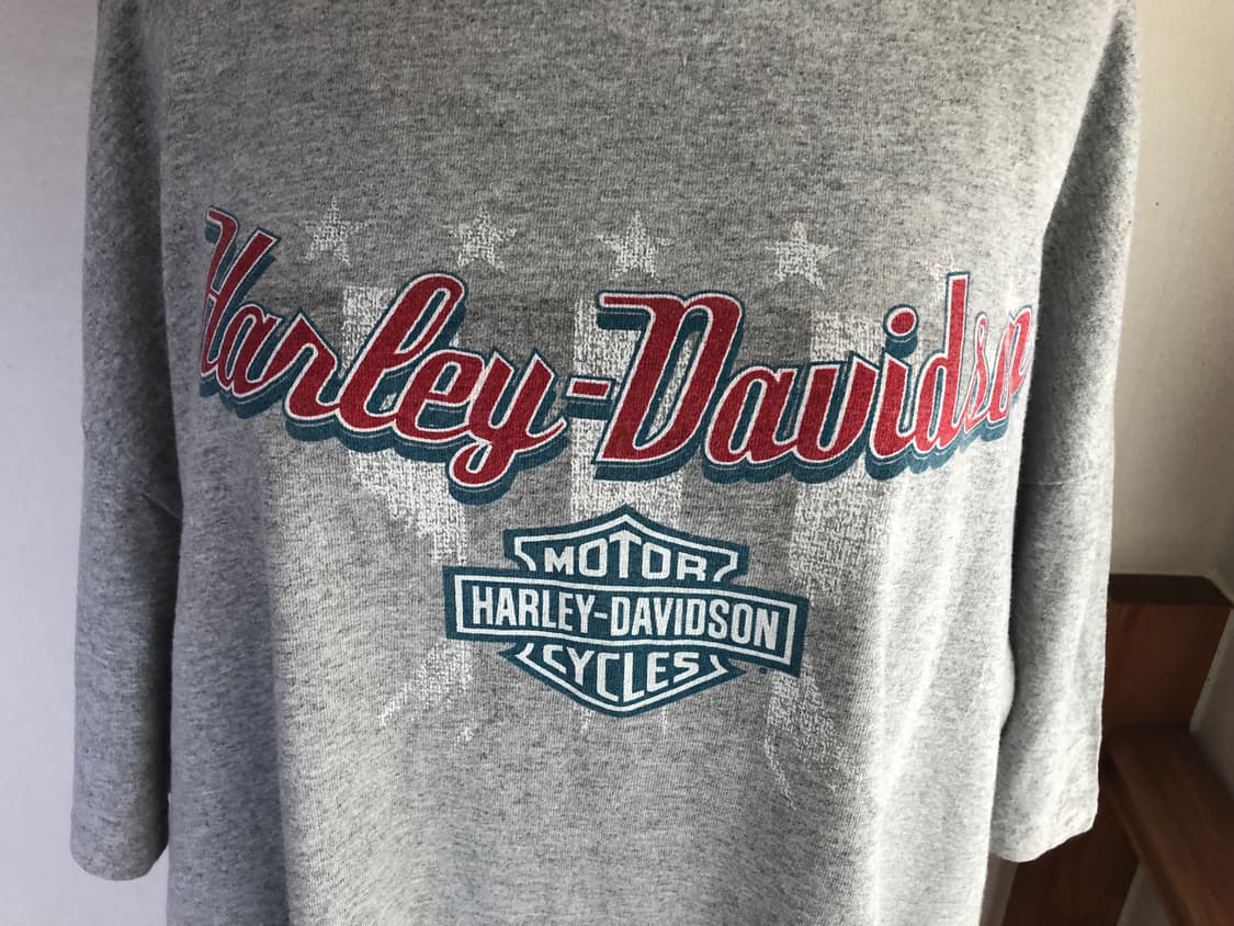 Harley-Davidson / Oversized grey T-shirt 상품이미지7