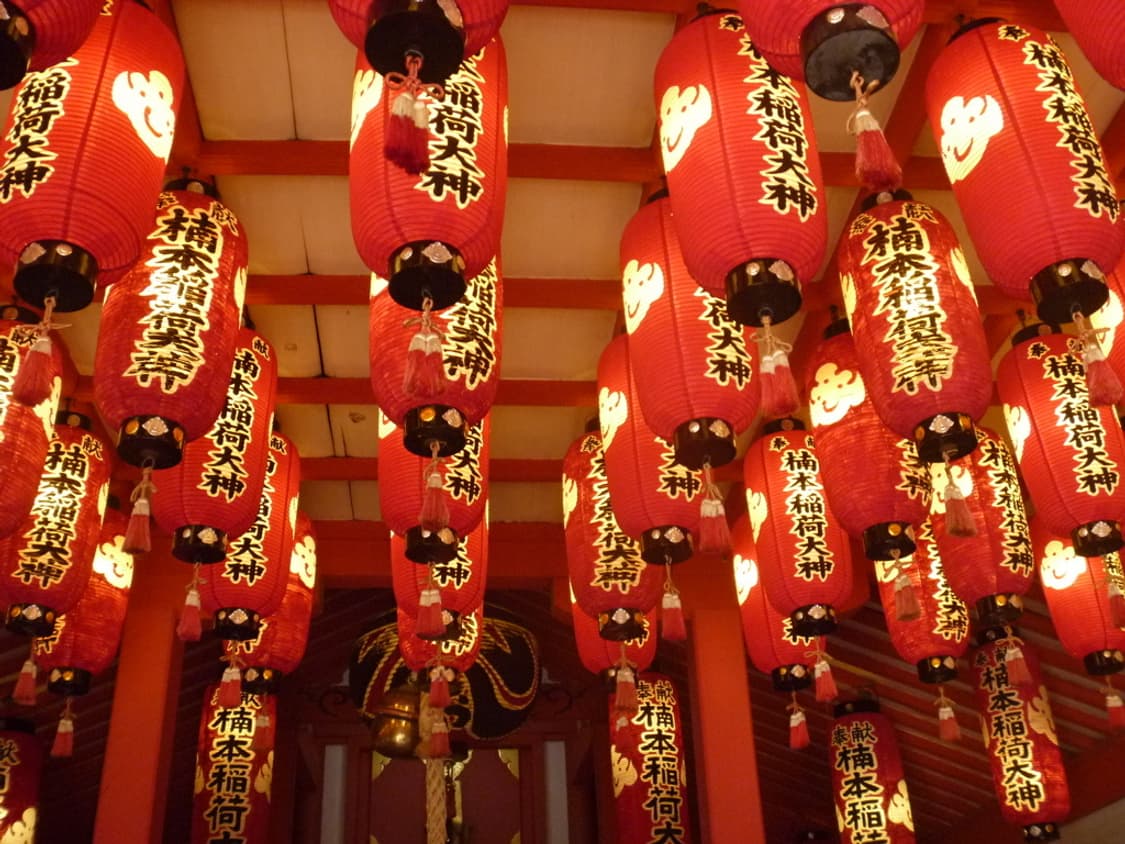 (핑크 디카🎀) 파나소닉 DMC-FP1 디카 디지털카메라 상품이미지9