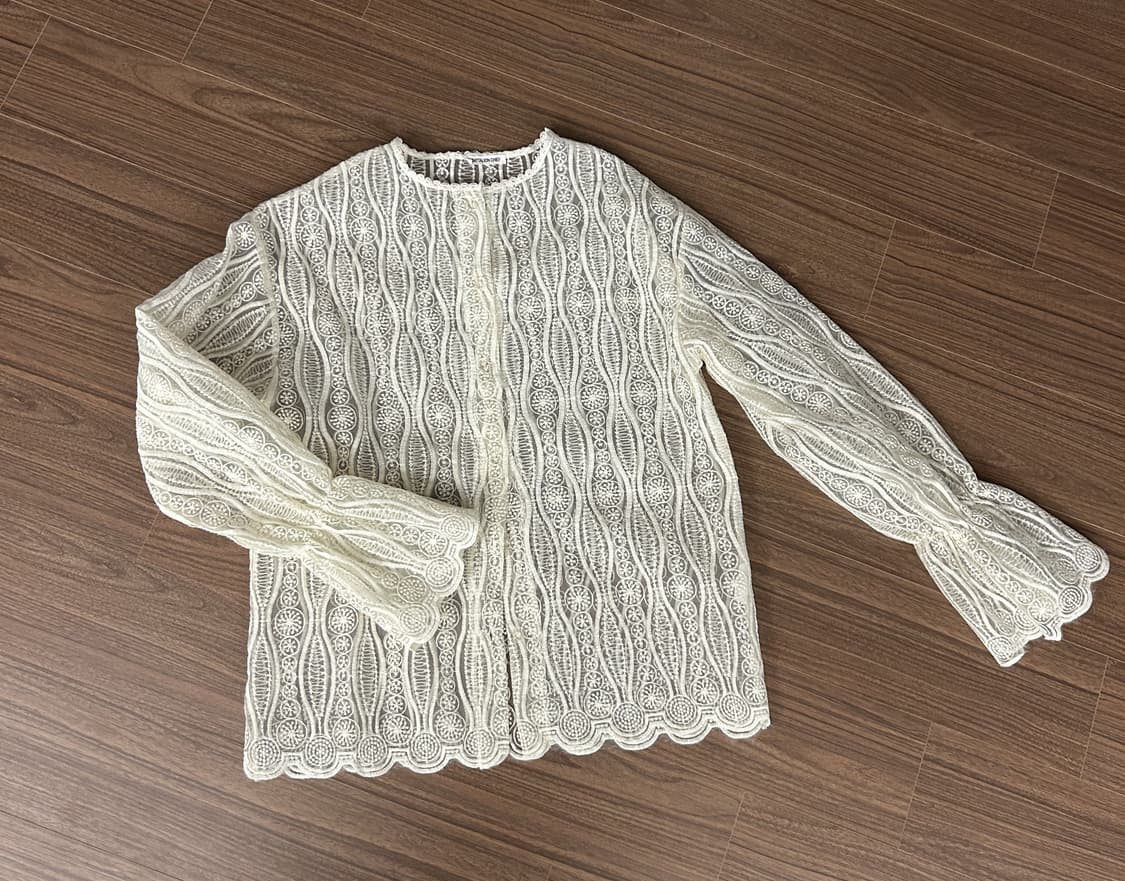 시스루블라우스 상품이미지1