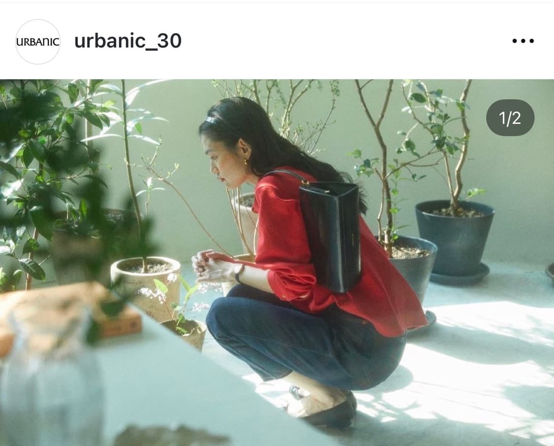 얼바닉 Classique Bag (클래시크 백) 상품이미지3