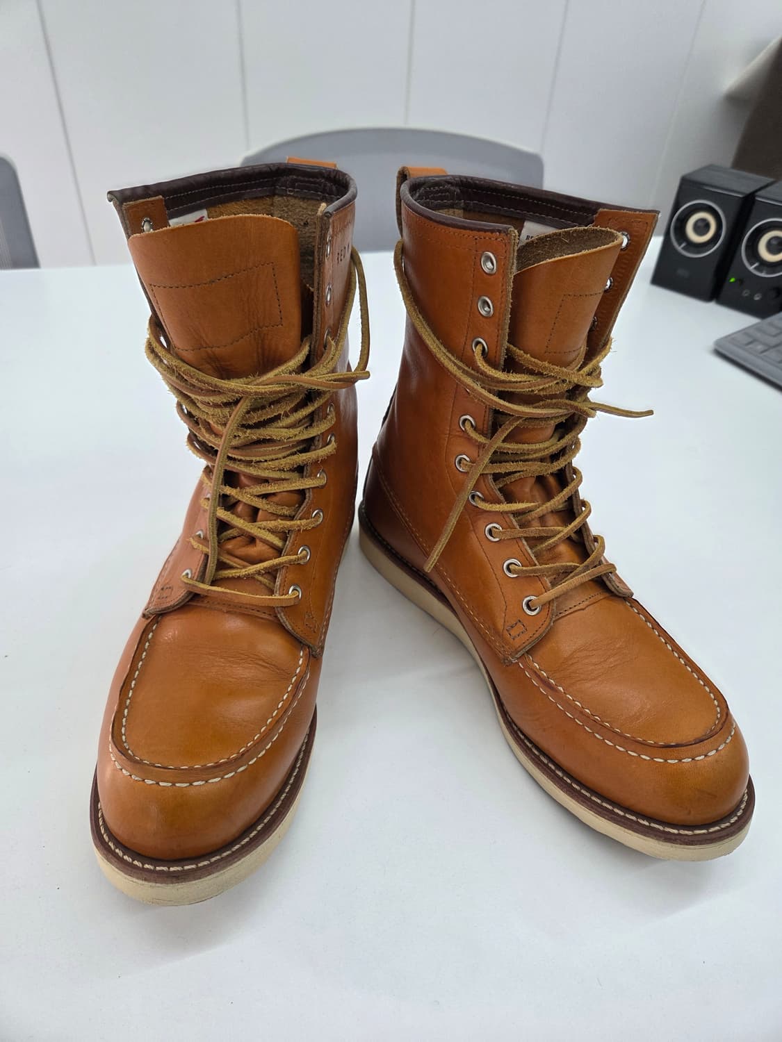 레드윙 9877 아이리시세터 9.5d 상품이미지1