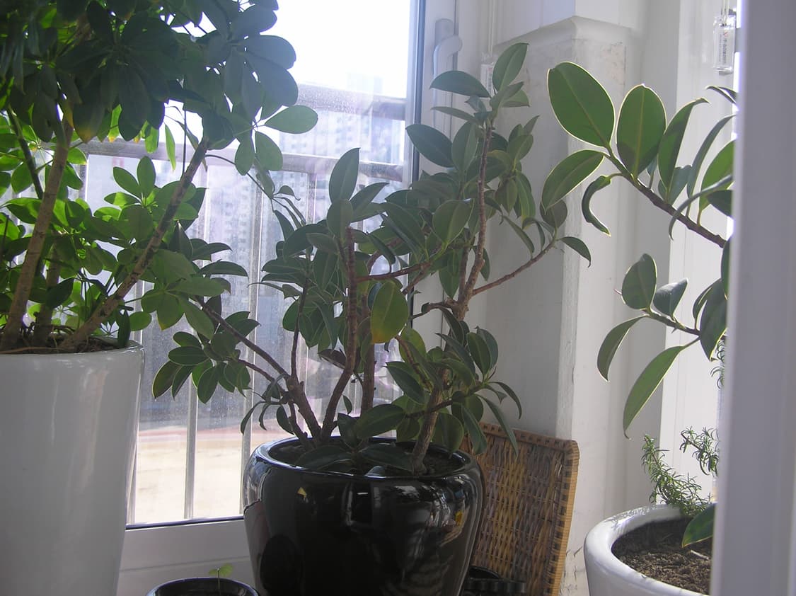 올림푸스 울트라 줌 디카 C-755 상품이미지8