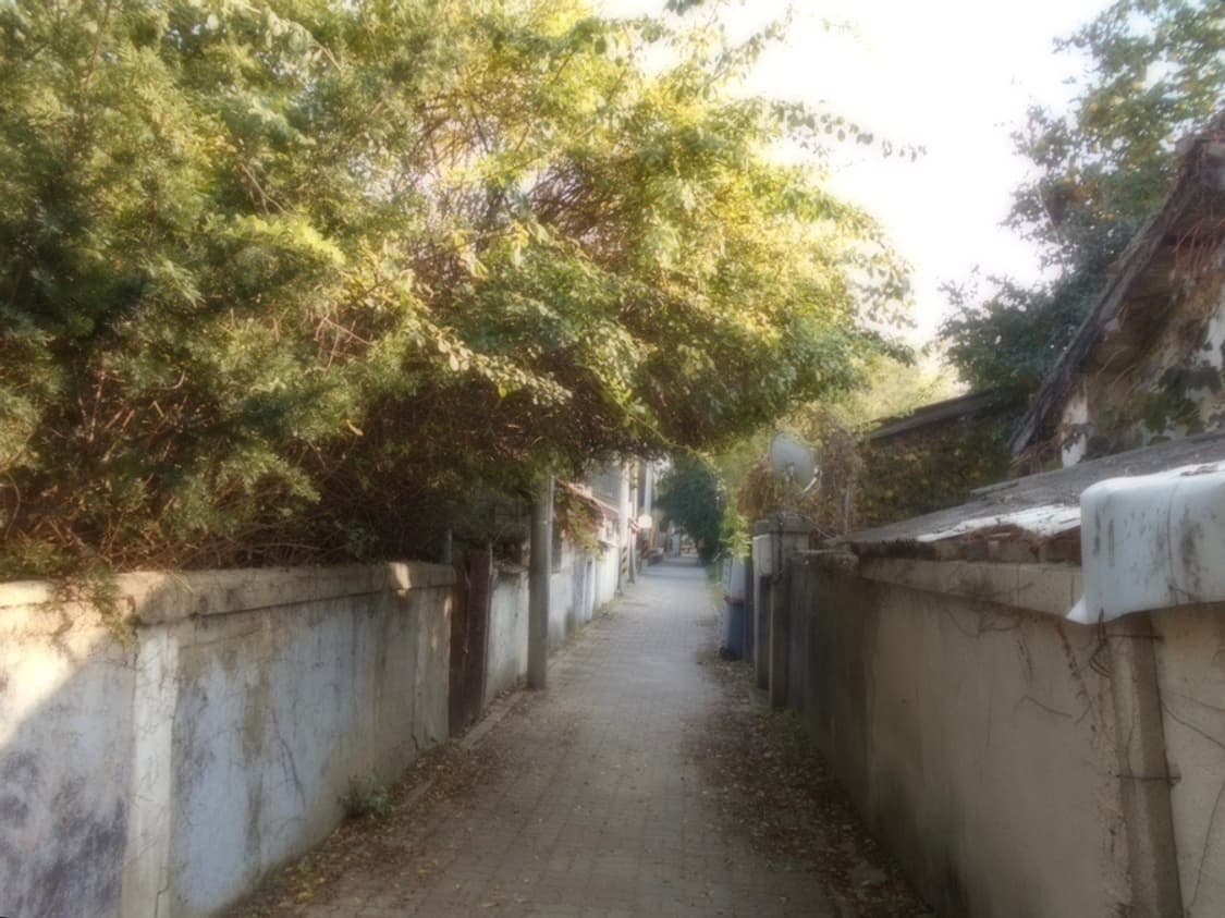 디지털 카메라 니콘 쿨픽스 s2900 상품이미지10