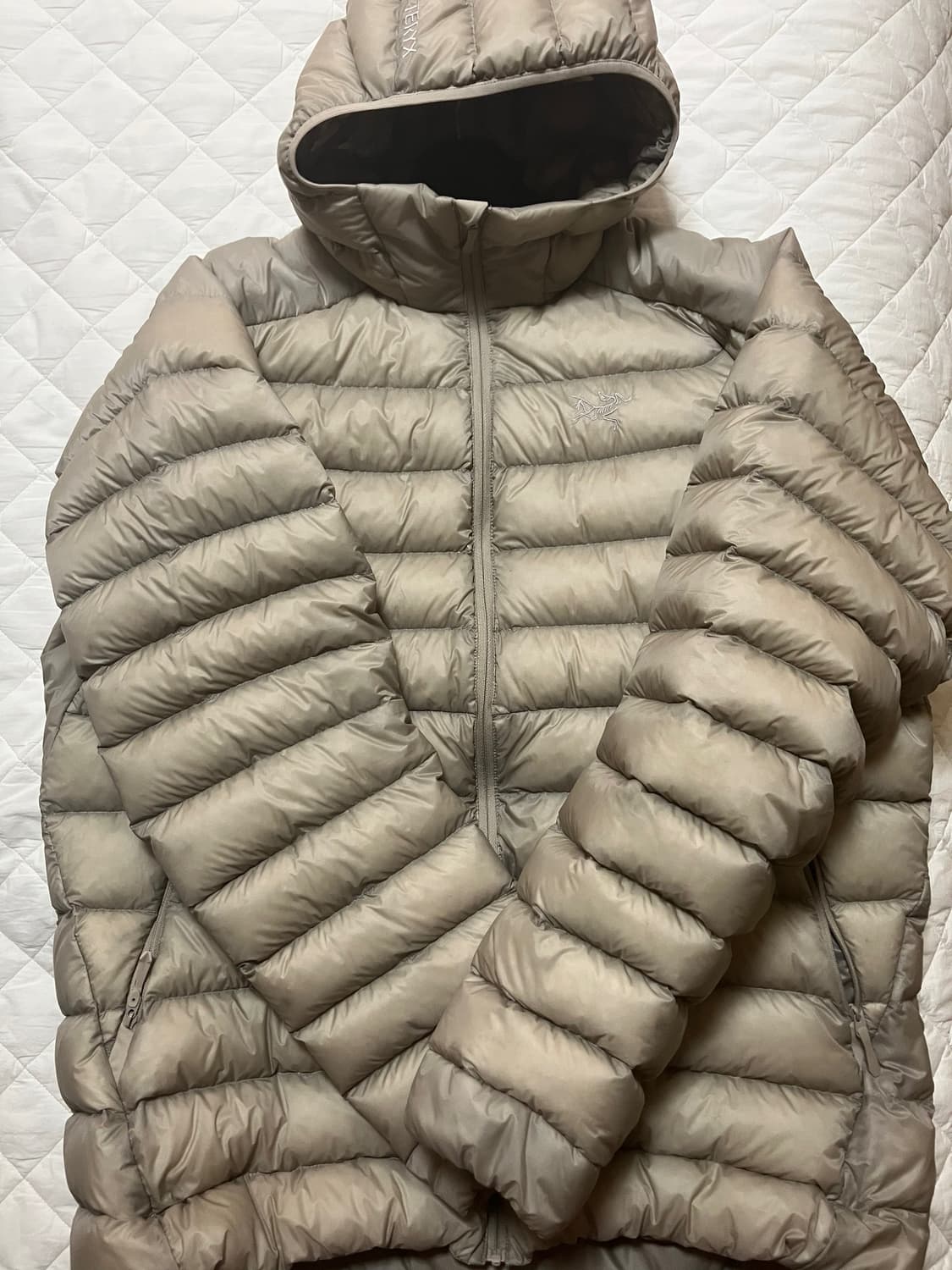 [XL] 아크테릭스 세륨 후디 룬 상품이미지2