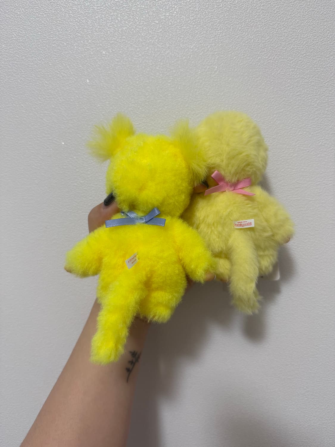 컬러즈 몬치치 상품이미지2
