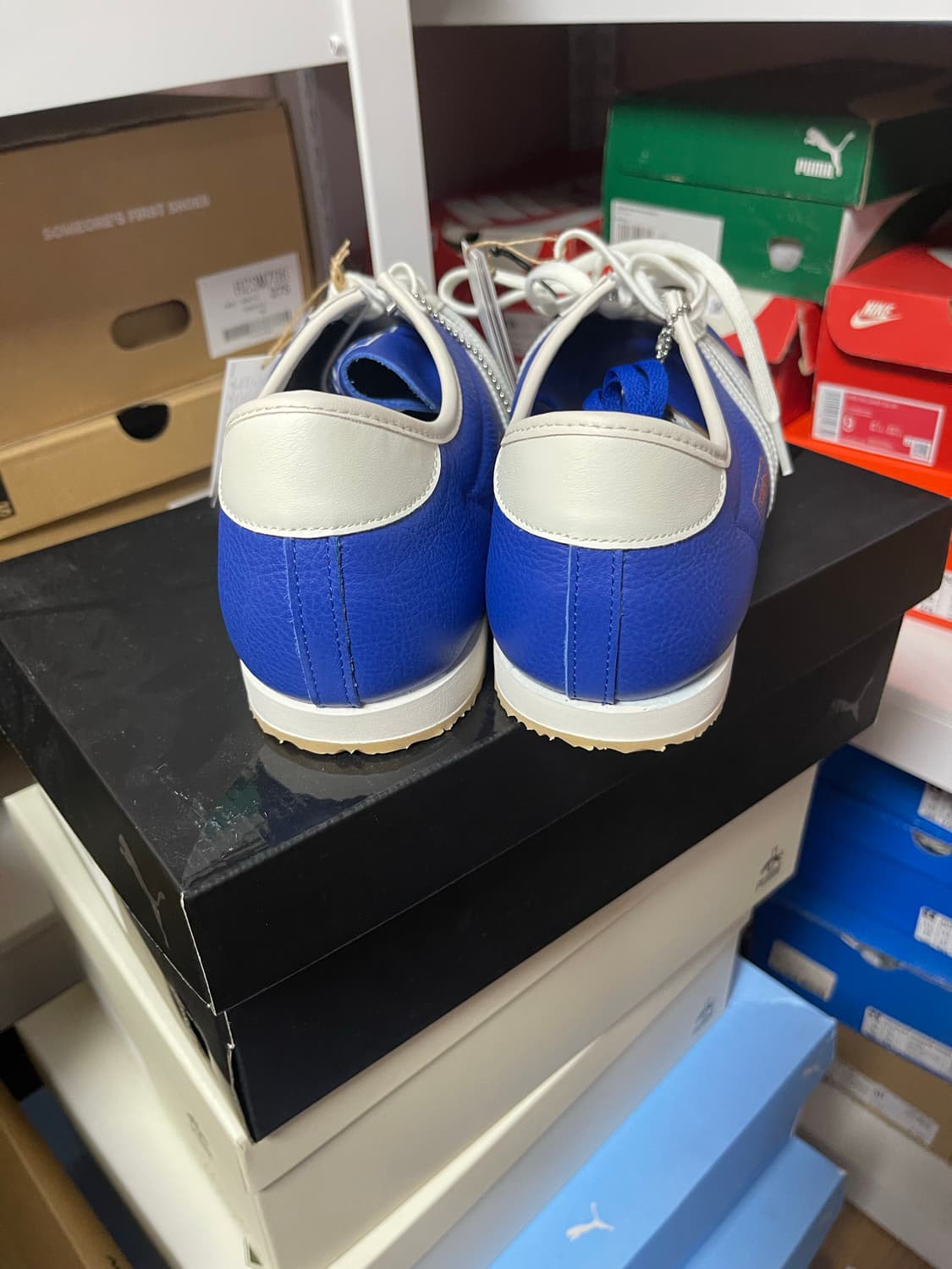 265) 아디다스 x cp company  상품이미지2