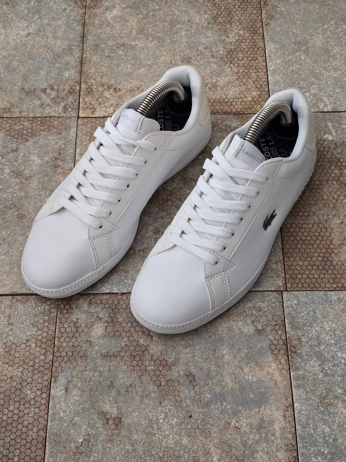 (230)라코스테 그레쥬에이트 상품이미지1